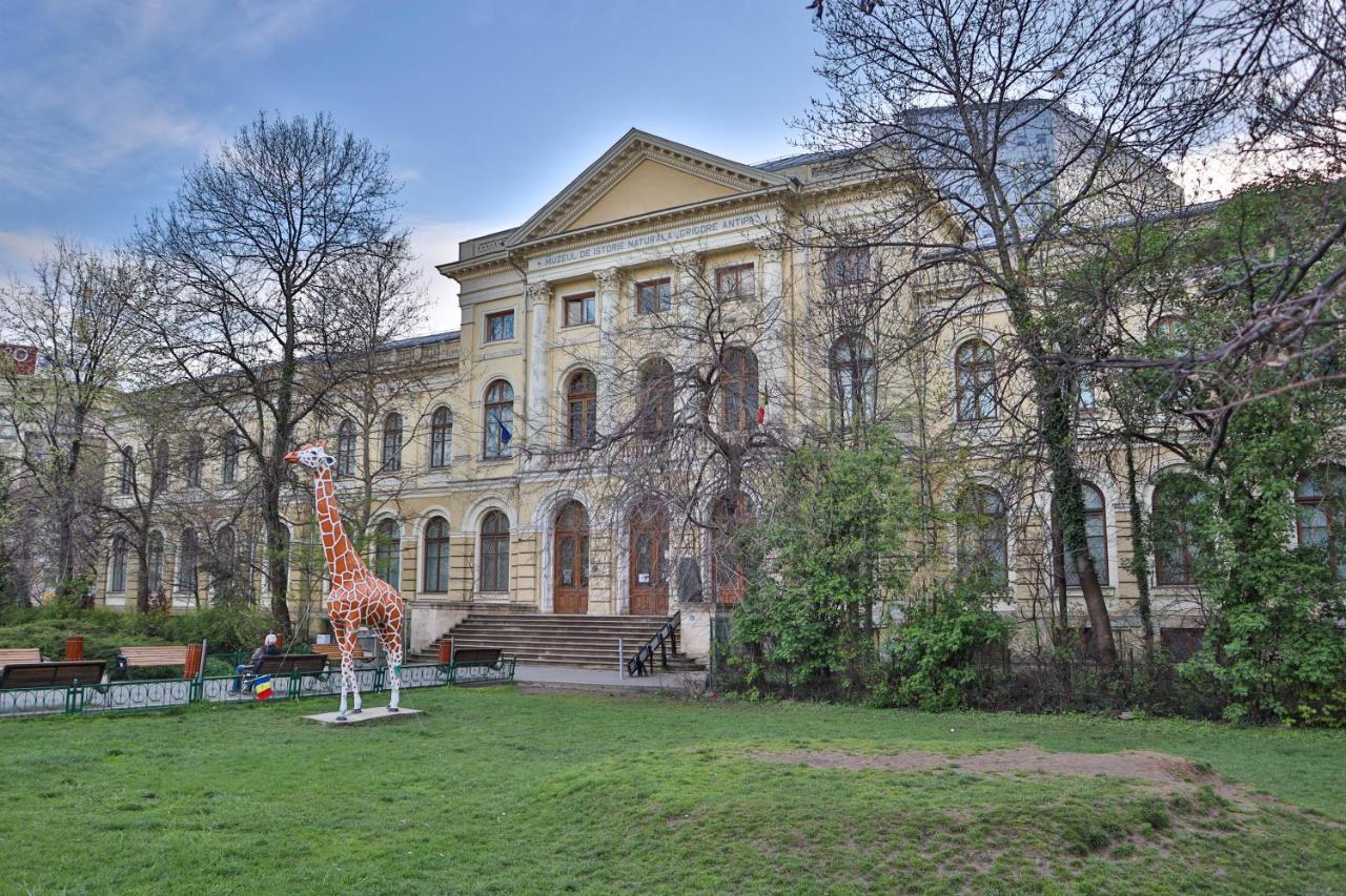 Oak Apartment - Piata Victoriei Bucureşti Eksteriør bilde