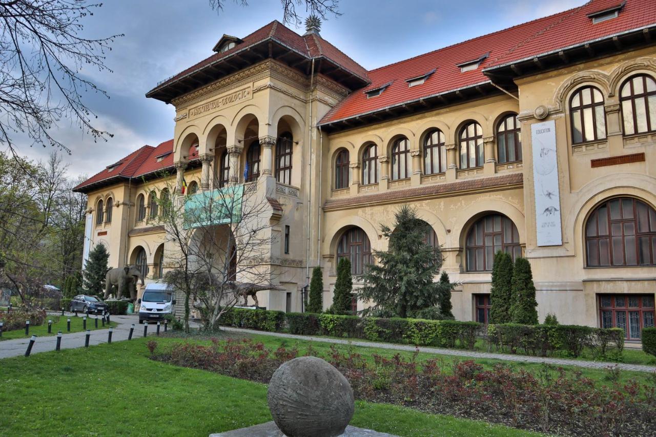 Oak Apartment - Piata Victoriei Bucureşti Eksteriør bilde